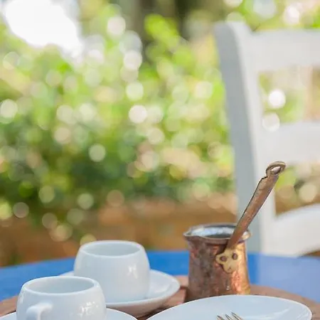 Hébergement de vacances Naftilos Sani With Private Pool Sani (Chalkidiki)