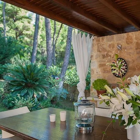 Naftilos Sani With Private Pool Száni-part